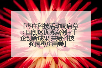 枣庄科技活动周启幕：国创区优秀案例+千企创新成果 共绘科技强国枣庄画卷