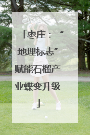 枣庄：“地理标志”赋能石榴产业蝶变升级