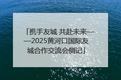 携手友城 共赴未来——2025黄河口国际友城合作交流会侧记