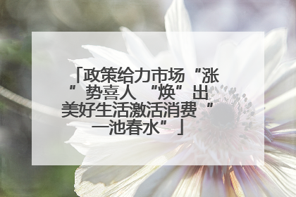 政策给力市场“涨”势喜人 “焕”出美好生活激活消费“一池春水”