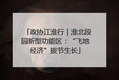 政协江淮行｜淮北段园新型功能区：“飞地经济”拔节生长