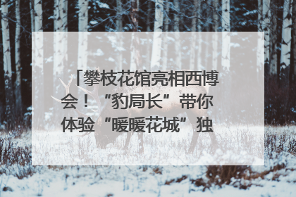 攀枝花馆亮相西博会！“豹局长”带你体验“暖暖花城”独特魅力｜西博视界