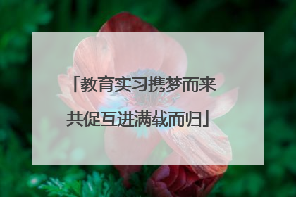 教育实习携梦而来 共促互进满载而归