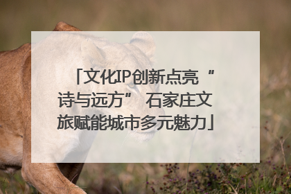 文化IP创新点亮“诗与远方” 石家庄文旅赋能城市多元魅力