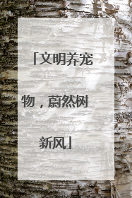 文明养宠物，蔚然树新风