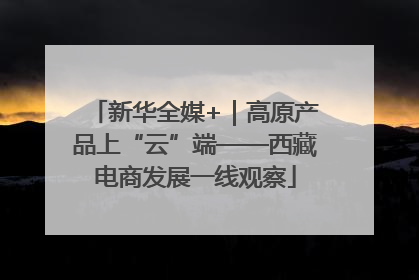 新华全媒+｜高原产品上“云”端——西藏电商发展一线观察