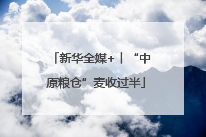新华全媒+丨“中原粮仓”麦收过半