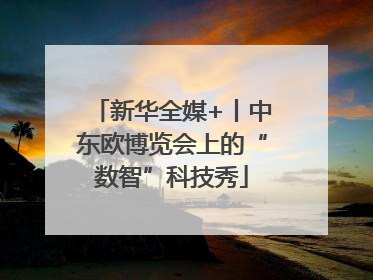 新华全媒+丨中东欧博览会上的“数智”科技秀