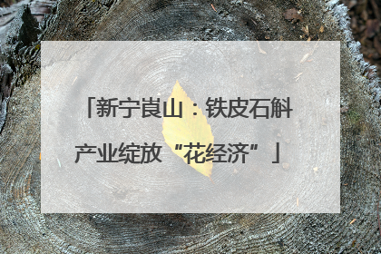 新宁崀山：铁皮石斛产业绽放“花经济”