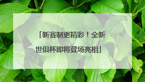 新赛制更精彩！全新世俱杯即将登场亮相