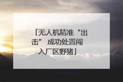 无人机精准“出击” 成功处置闯入厂区野猪