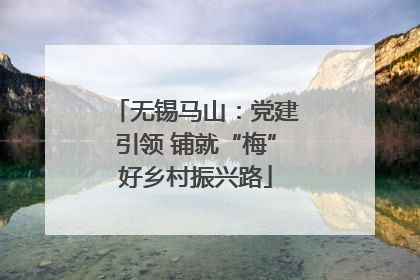 无锡马山：党建引领 铺就“梅”好乡村振兴路