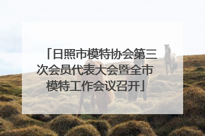 日照市模特协会第三次会员代表大会暨全市模特工作会议召开