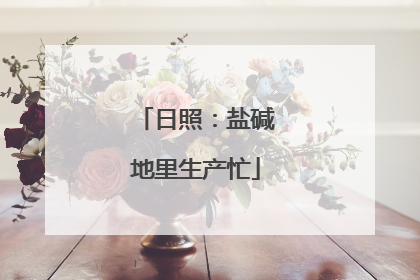 日照：盐碱地里生产忙