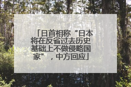 日首相称“日本将在反省过去历史基础上不做侵略国家”，中方回应