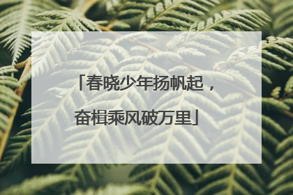 春晓少年扬帆起，奋楫乘风破万里