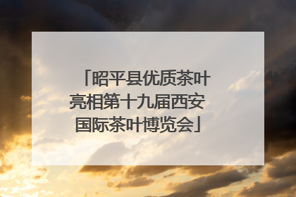 昭平县优质茶叶亮相第十九届西安国际茶叶博览会