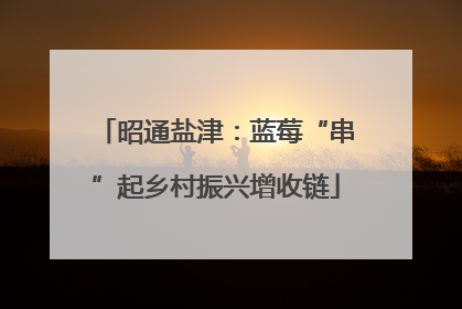 昭通盐津：蓝莓“串”起乡村振兴增收链