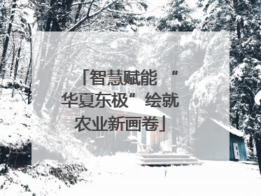 智慧赋能 “华夏东极”绘就农业新画卷