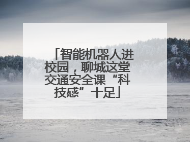 智能机器人进校园，聊城这堂交通安全课“科技感”十足