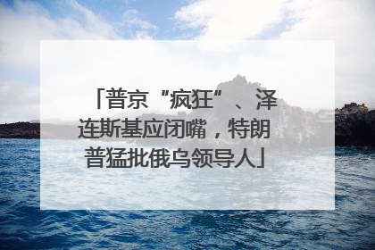 普京“疯狂”、泽连斯基应闭嘴，特朗普猛批俄乌领导人