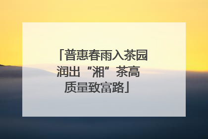 普惠春雨入茶园 润出“湘”茶高质量致富路