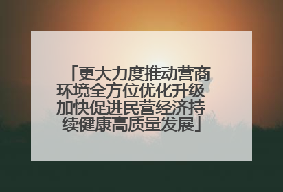 更大力度推动营商环境全方位优化升级加快促进民营经济持续健康高质量发展