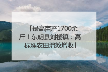 最高亩产1700余斤！东明县刘楼镇：高标准农田增效增收