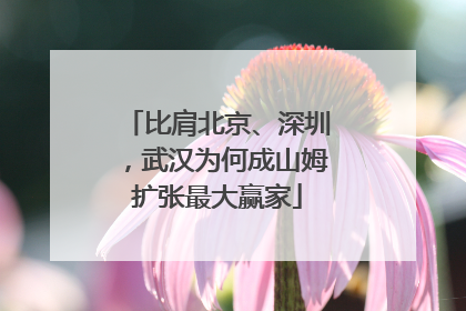 比肩北京、深圳，武汉为何成山姆扩张最大赢家