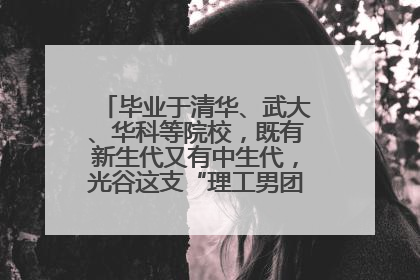 毕业于清华、武大、华科等院校，既有新生代又有中生代，光谷这支“理工男团”为何“出道”？