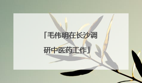 毛伟明在长沙调研中医药工作
