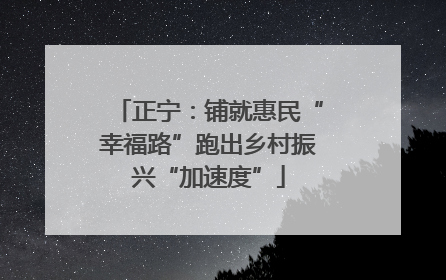 正宁：铺就惠民“幸福路”跑出乡村振兴“加速度”