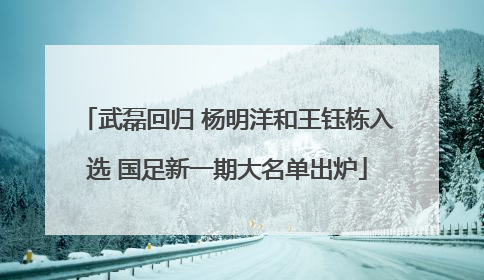 武磊回归 杨明洋和王钰栋入选 国足新一期大名单出炉