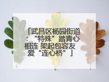 武昌区杨园街道：“特殊”踏青心相连 架起包容友爱“连心桥”