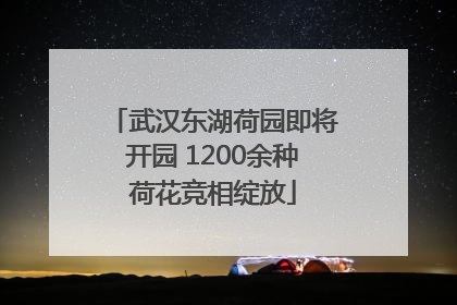 武汉东湖荷园即将开园 1200余种荷花竞相绽放