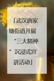 武汉唐家墩街道开展“三大精神”沉浸式宣讲活动