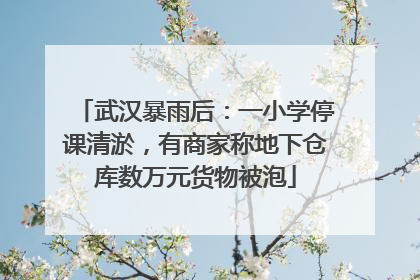 武汉暴雨后：一小学停课清淤，有商家称地下仓库数万元货物被泡