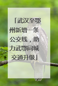 武汉至鄂州新增一条公交线，助力武鄂同城交通升级