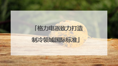 格力电器致力打造制冷领域国际标准