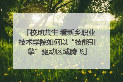校地共生 看新乡职业技术学院如何以“技能引擎”驱动区域腾飞
