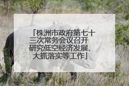 株洲市政府第七十三次常务会议召开 研究低空经济发展、大抓落实等工作