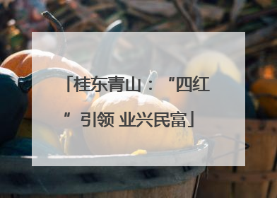 桂东青山：“四红”引领 业兴民富