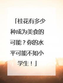 桂花有多少种成为美食的可能？你的水平可能不如小学生！