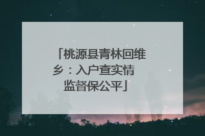 桃源县青林回维乡：入户查实情 监督保公平
