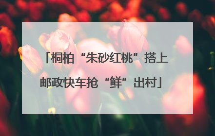 桐柏“朱砂红桃”搭上邮政快车抢“鲜”出村
