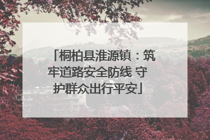 桐柏县淮源镇：筑牢道路安全防线 守护群众出行平安