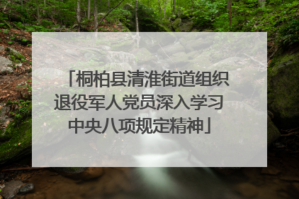 桐柏县清淮街道组织退役军人党员深入学习中央八项规定精神