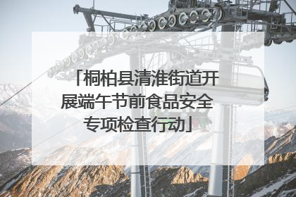 桐柏县清淮街道开展端午节前食品安全专项检查行动
