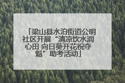梁山县水泊街道公明社区开展“清凉饮水润心田 向日葵开花祝夺魁”助考活动