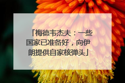 梅德韦杰夫：一些国家已准备好，向伊朗提供自家核弹头